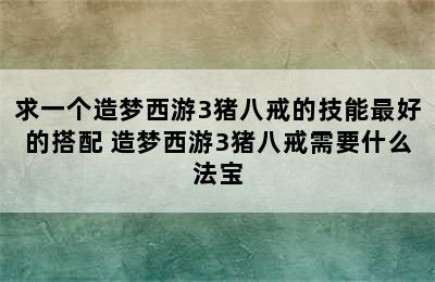 求一个造梦西游3猪八戒的技能最好的搭配 造梦西游3猪八戒需要什么法宝